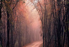 菲利克斯双响 切尔西8-0诺亚创欧协联历史最大分差.