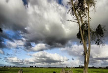 2026年美加墨世界杯亚洲区预选赛 中国vs澳大利亚 首发名单.