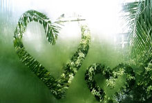 安切洛蒂:防线的错误也有运气问题;丢四球不是好事.