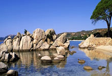 UED:挪威奥运冠军之父否认虐待子女:“我只是过度保护”环球时报.